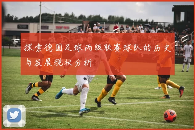 探索德国足球丙级联赛球队的历史与发展现状分析