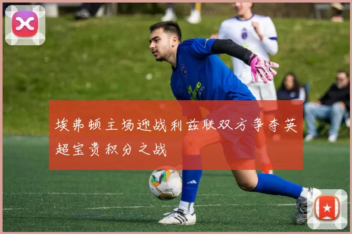 埃弗顿主场迎战利兹联双方争夺英超宝贵积分之战