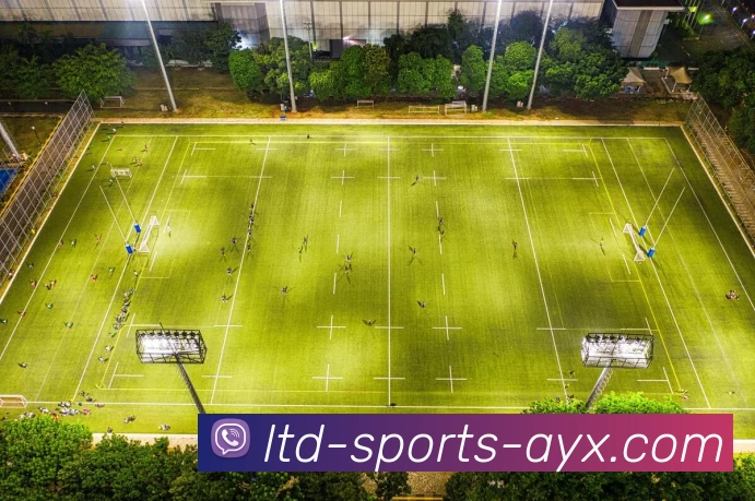 爱游戏APP 体育赛事宣传图